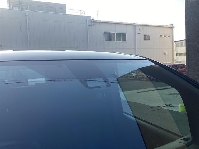 22910198_carP_l_16.jpg
