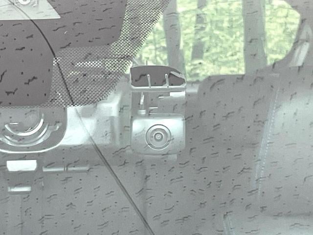 19522301_carP_l_14.jpg