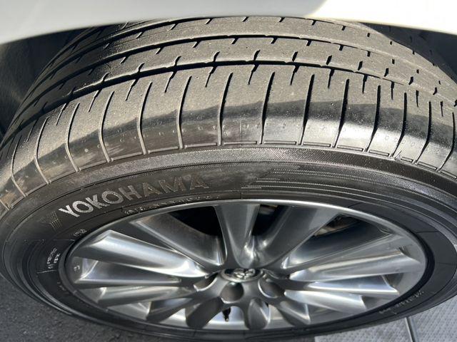 f19550db89245d71384fcb77b8bac742.jpg