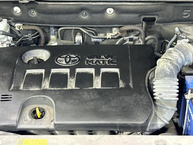 19291719_carP_l_16.jpg