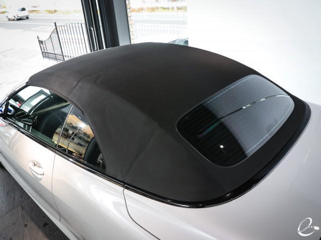 22210091_carP_l_17.jpg