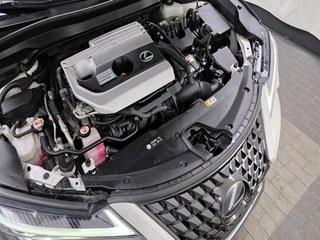 7d76d4e91e9ec4fa4fa810b156659d59.jpeg