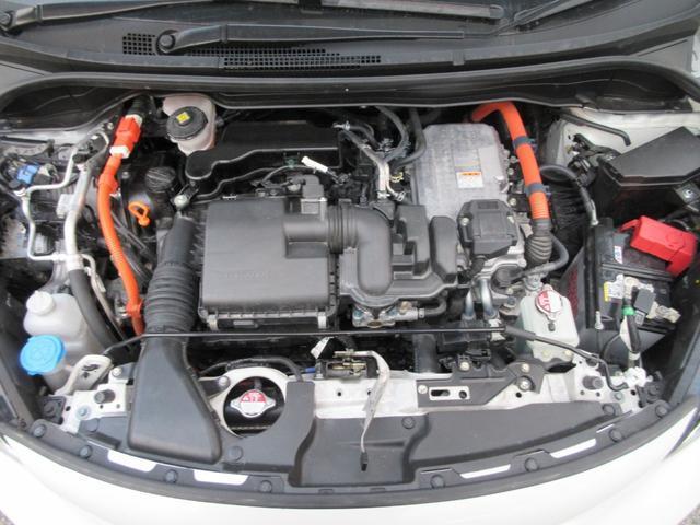 20957495_carP_l_12.jpg