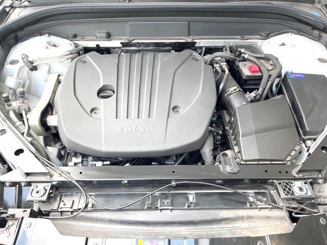 21548758_carP_l_11.jpg