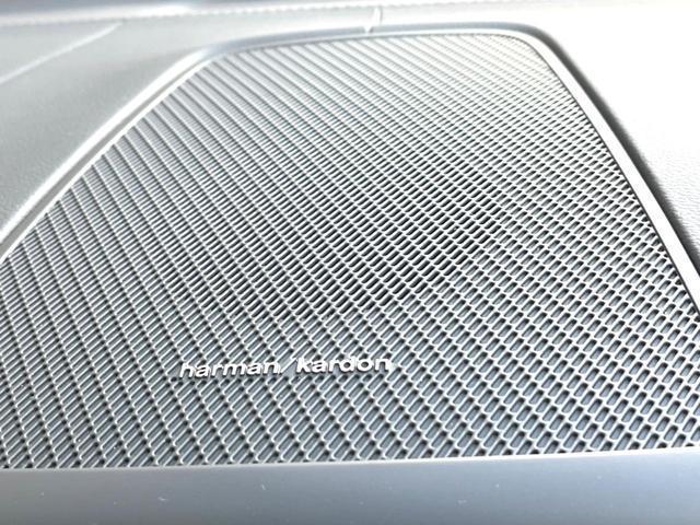 21548758_carP_l_7.jpg