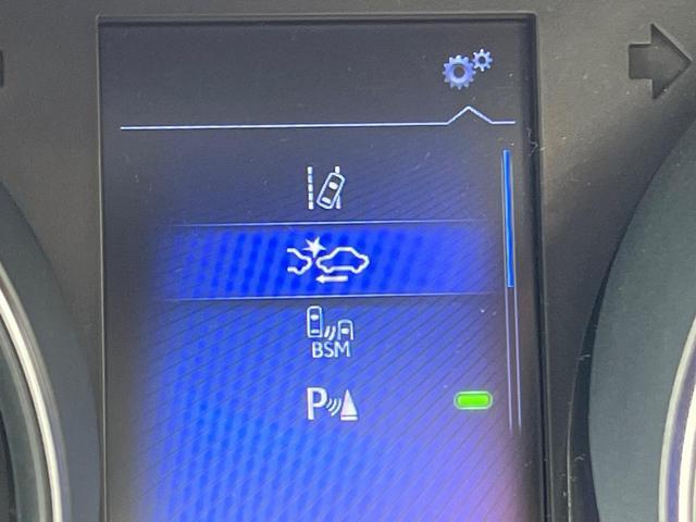 22410857_carP_l_10.jpg