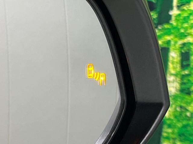 21078730_carP_l_14.jpg