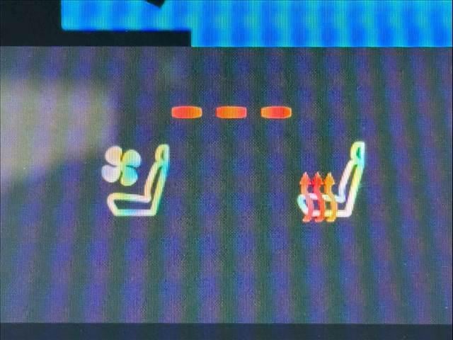 06.jpg