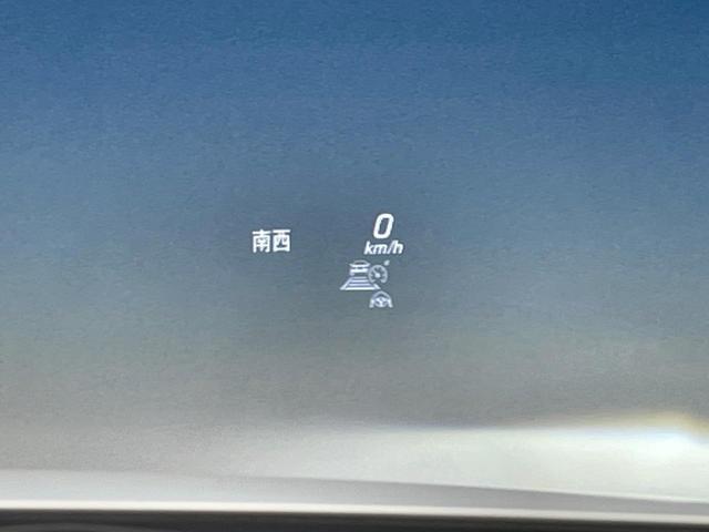 21289589_carP_l_17.jpg