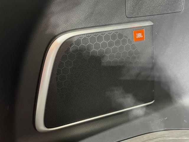 21566076_carP_l_10.jpg