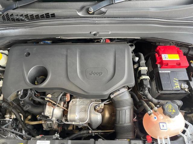 22875495_carP_l_18.jpg