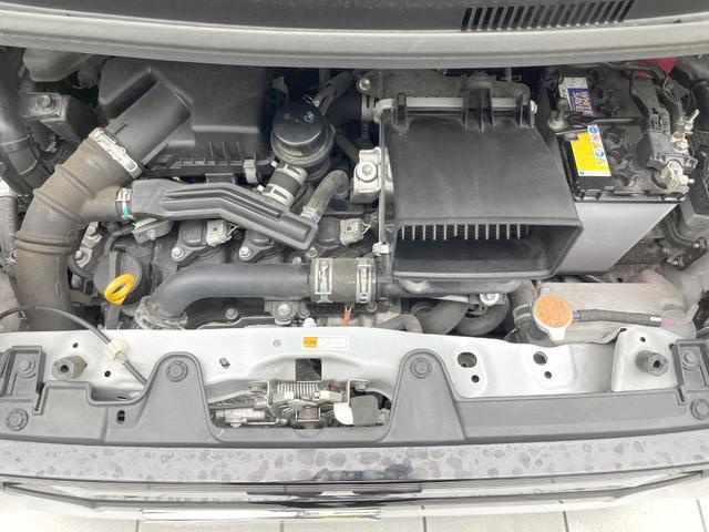22525670_carP_l_12.jpg