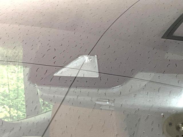 22448155_carP_l_10.jpg
