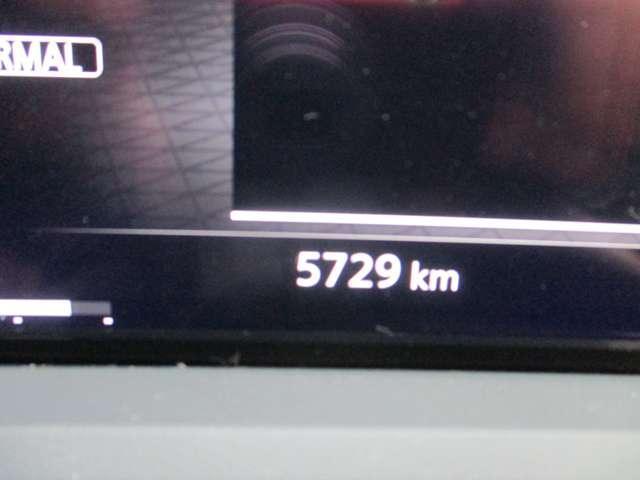 22951458_carP_l_16.jpg