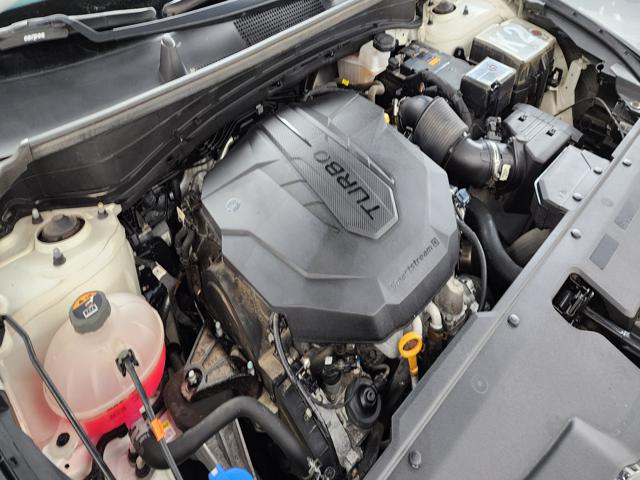 7e9649da34299e2a46a255126d4dd84e.jpeg