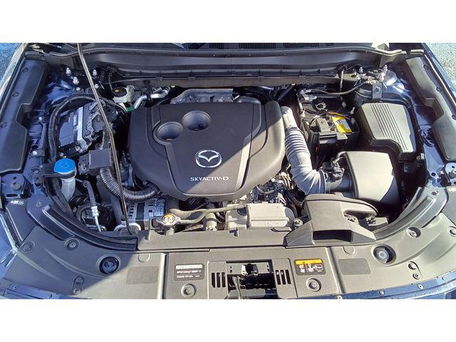 95d55baad1860e05e0fe24ec706e07d8.jpg