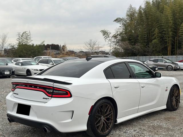 0404225A30260228W00205.jpg