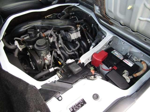 23036265_carP_l_9.jpg