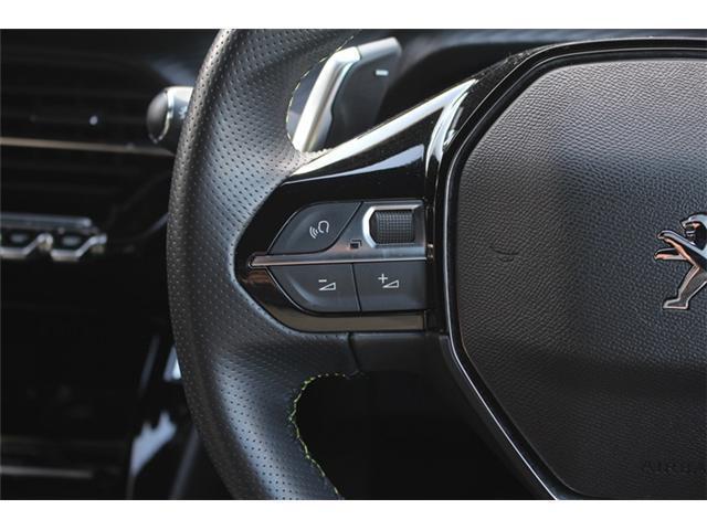 16985039_carP_l_5.jpg
