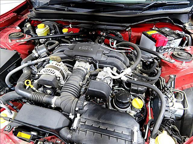 17084087_carP_l_20.jpg