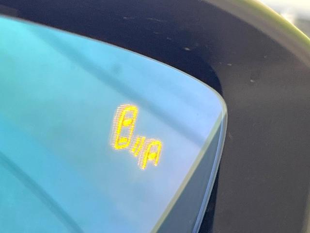 22372531_carP_l_13.jpg
