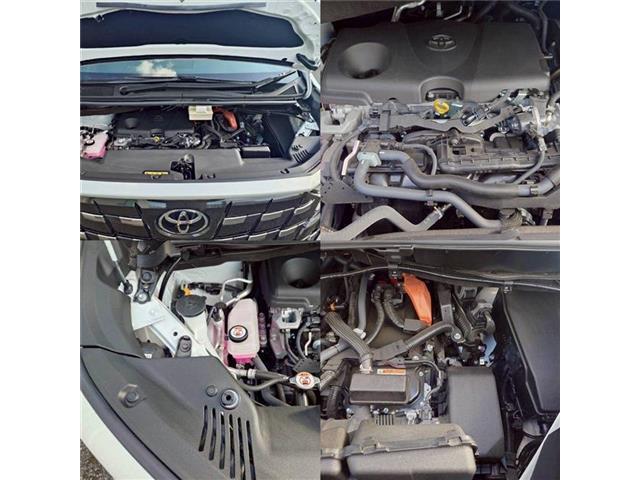 6f70480988cfaf0eccd53cecb7a39a98.jpg