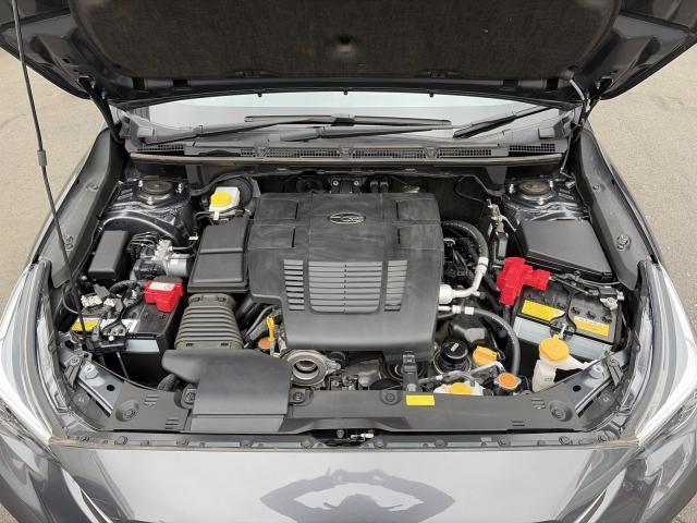 23154539_carP_l_4.jpg