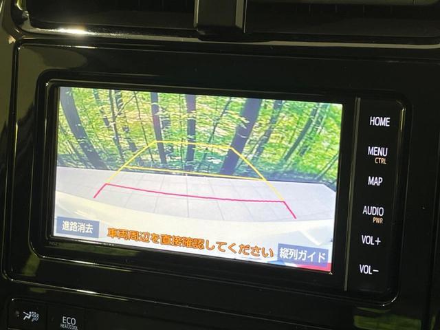 22021847_carP_l_10.jpg