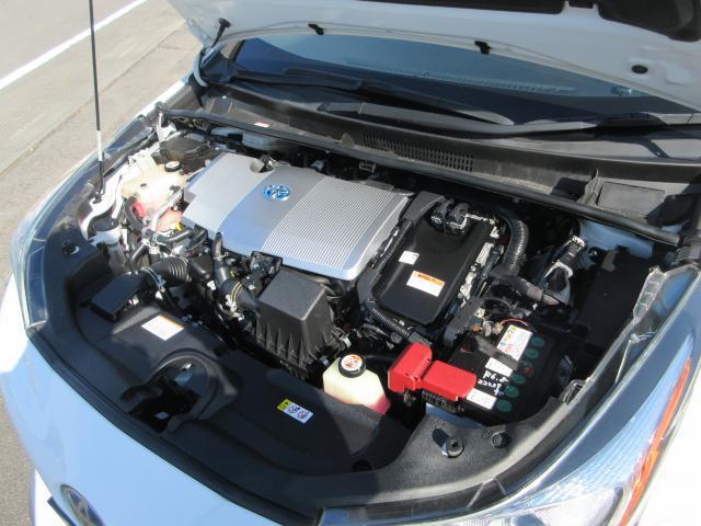 20727479_carP_l_20.jpg