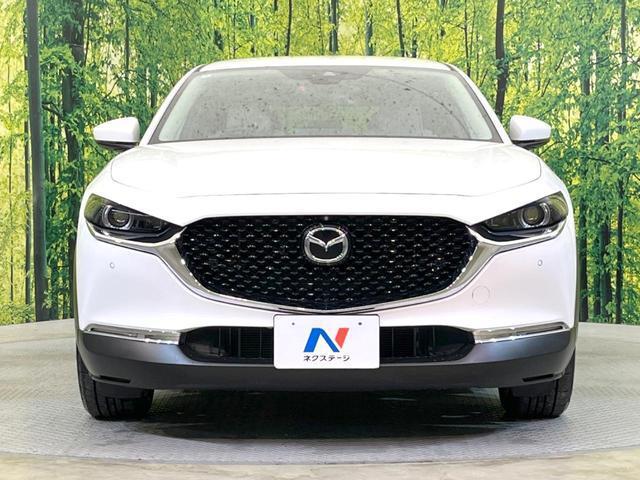 21816975_carP_l_8.jpg