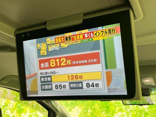 20456574_carP_l_8.jpg