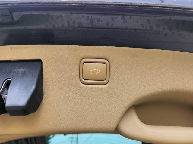 e26eb3513e61c3700cd930fcf17c3292.jpeg