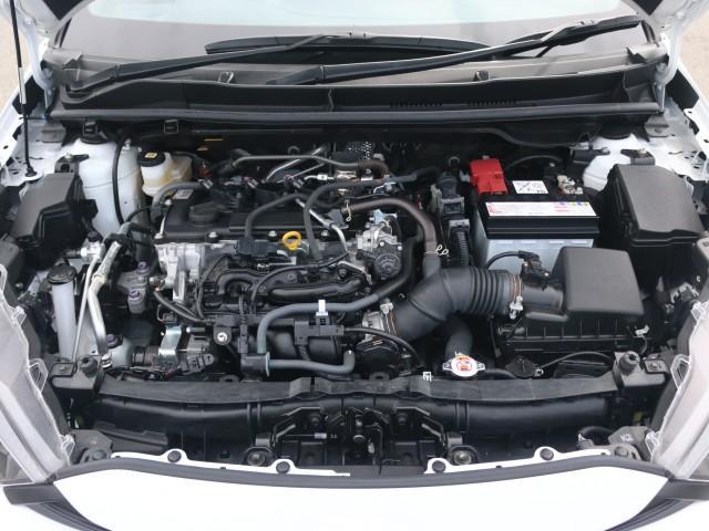 22301891_carP_l_17.jpg