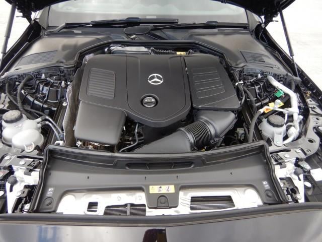 17025275_carP_l_17.jpg