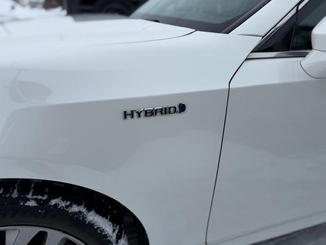 0303535A30260219W00117.jpg