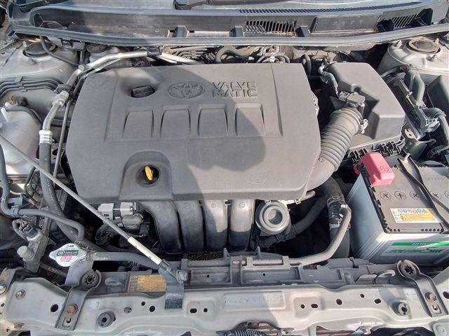 08.jpg