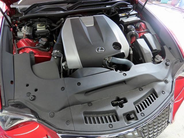 22386652_carP_l_17.jpg