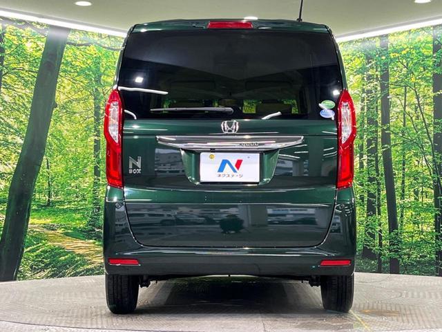22526029_carP_l_9.jpg