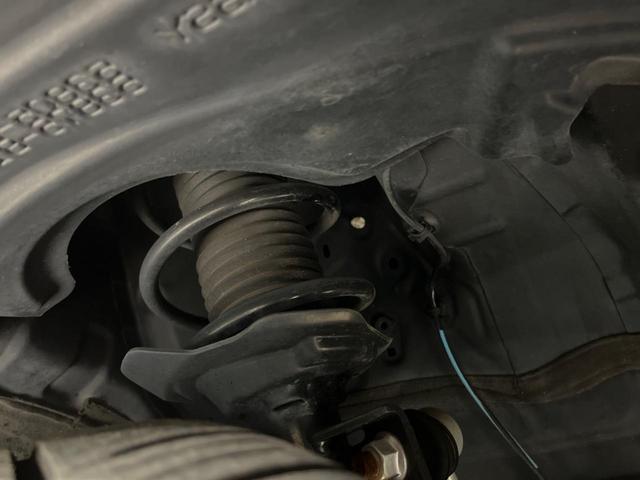 22261889_carP_l_20.jpg