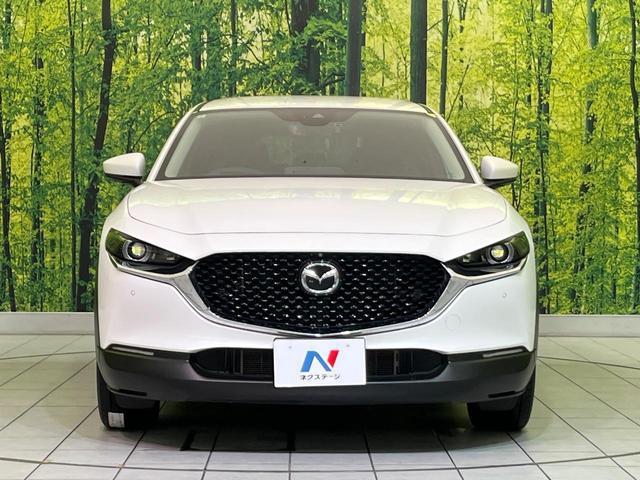 22429549_carP_l_8.jpg