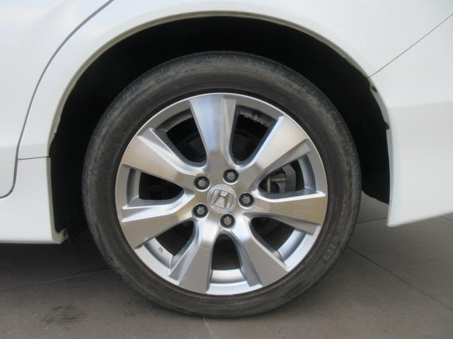 0903735A30260223W00515.jpg