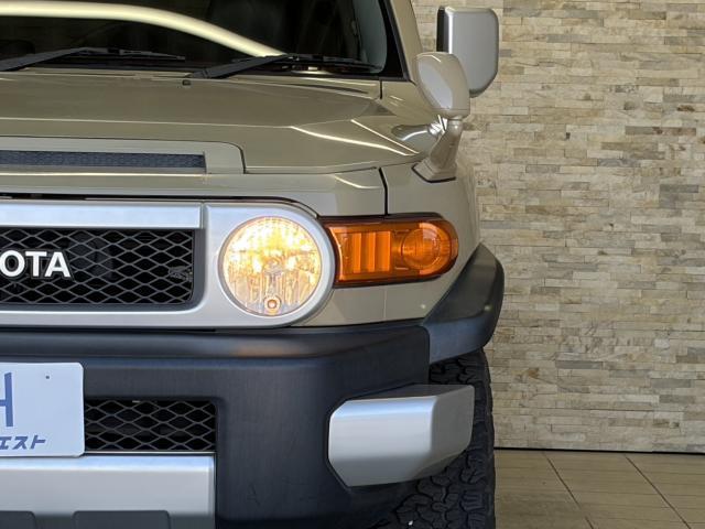 21983870_carP_l_14.jpg