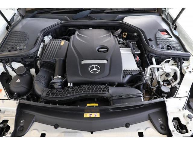 21849517_carP_l_17.jpg