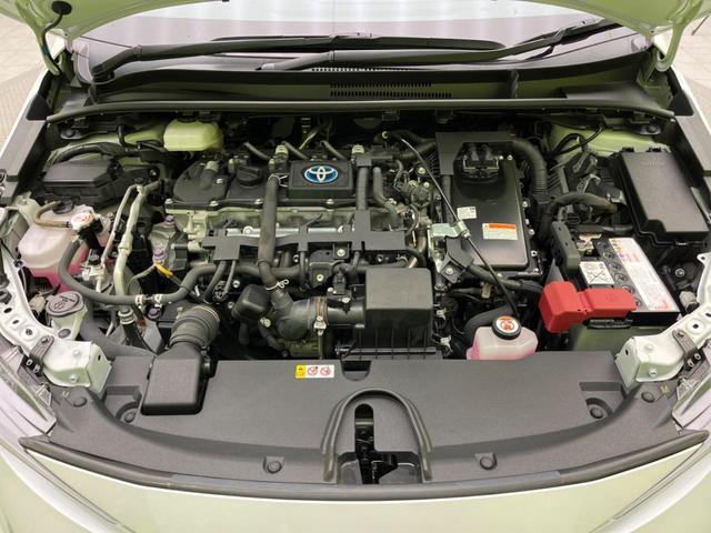 22168472_carP_l_16.jpg