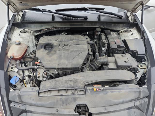 lotterental_161524360_zMuLo_1.jpg