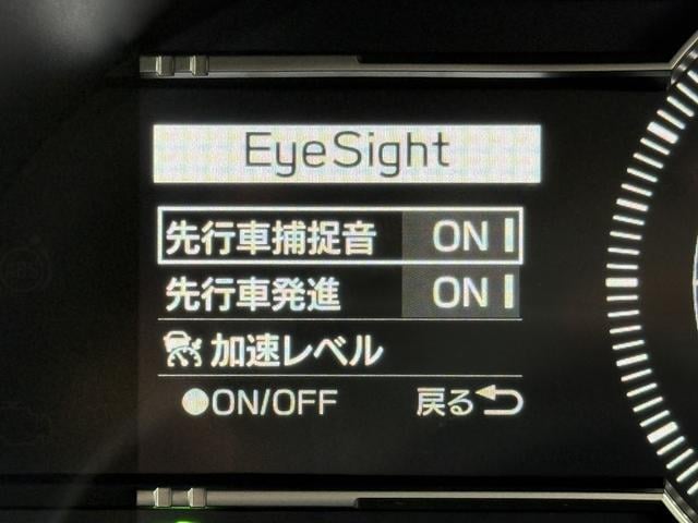 0404300A30251019W00114.jpg