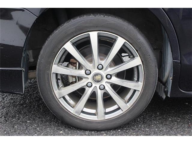 35830a387cb65cc3319e013dcaa0ba84.jpg