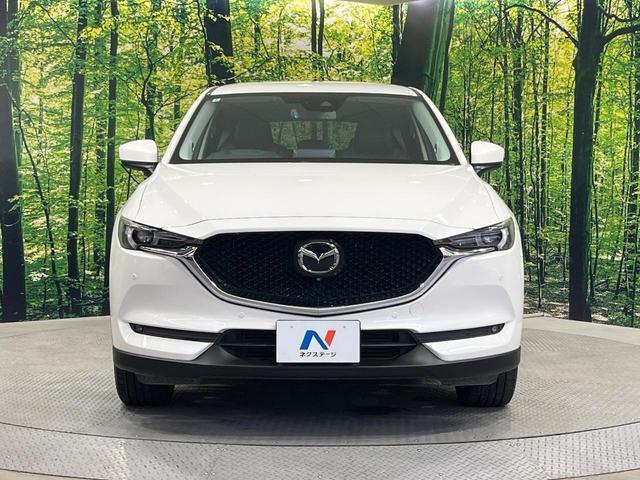 22779537_carP_l_8.jpg