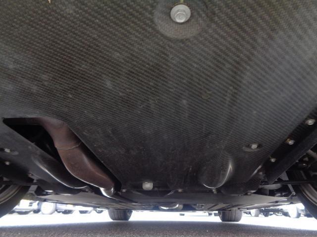 22975964_carP_l_16.jpg
