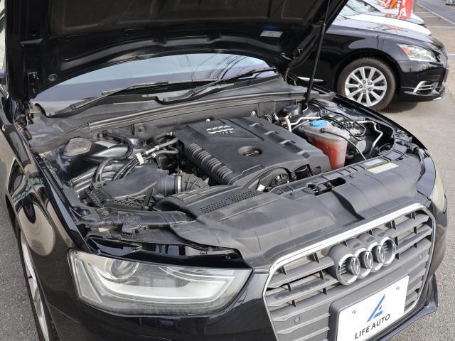 22411939_carP_l_10.jpg